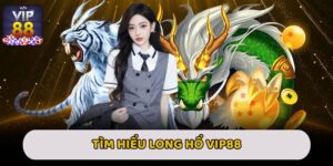 Long Hổ